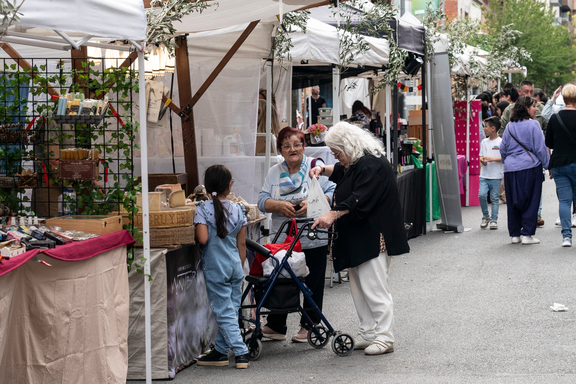 L'onzena Fira de l'Oliva de Ca n'Anglada va celebrar aquest dissabte una jornada completa al voltant de la plaça del barri on el protagonista era, evidentment, el producte derivat de l'arbre indispensable per a la bona gastronomia en les seves versions més artesanals. Hi va haver nombroses parades de productors, entitats i comerços, visites guiades a la masia propera, tallers d'olis aromàtics i el tradicional concurs de llançament de pinyol amb la boca. I, simultàniament, actuacions musicals a càrrec de l'Agrupación San José i el Coro Nazareno o el duo de pop Lua Cheia, entre altres. Alhora, la Ruta de la Tapa per deu bars i restaurants de Ca n'Anglada continua encara fins a aquest diumenge | Mireia Comas