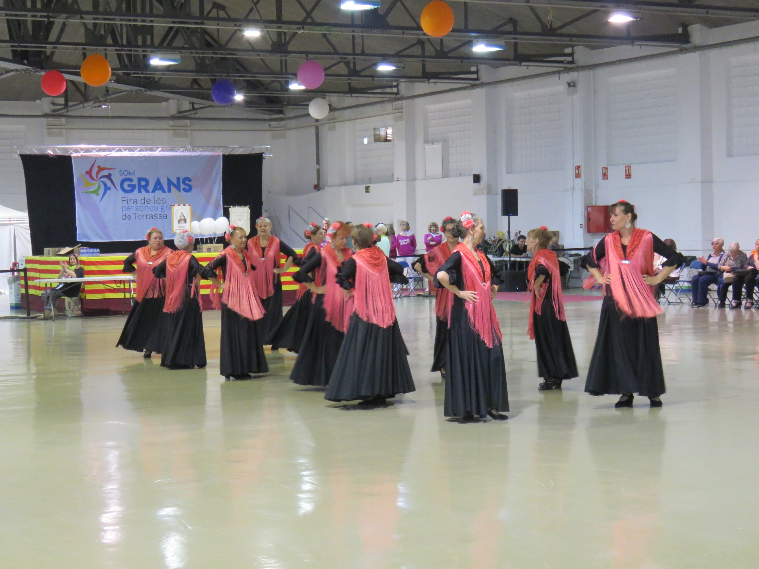 Aquest cap de setmana, 25 i 26 d'abril, el Recinte Firal de Terrassa acull la Fira Som Gran, una jornada organitzada per la Federació d'Associacions i Centres de Gent Gran de Terrassa i que vol esdevenir un espai de trobada, convivència i reconeixement per a les persones grans de la ciutat. Durant aquests dos dies, es pot gaudir d'una gran programació d'activitats; entre exposicions, balls, jocs de taula, gastronomia i exhibicions | Oriol Manrique