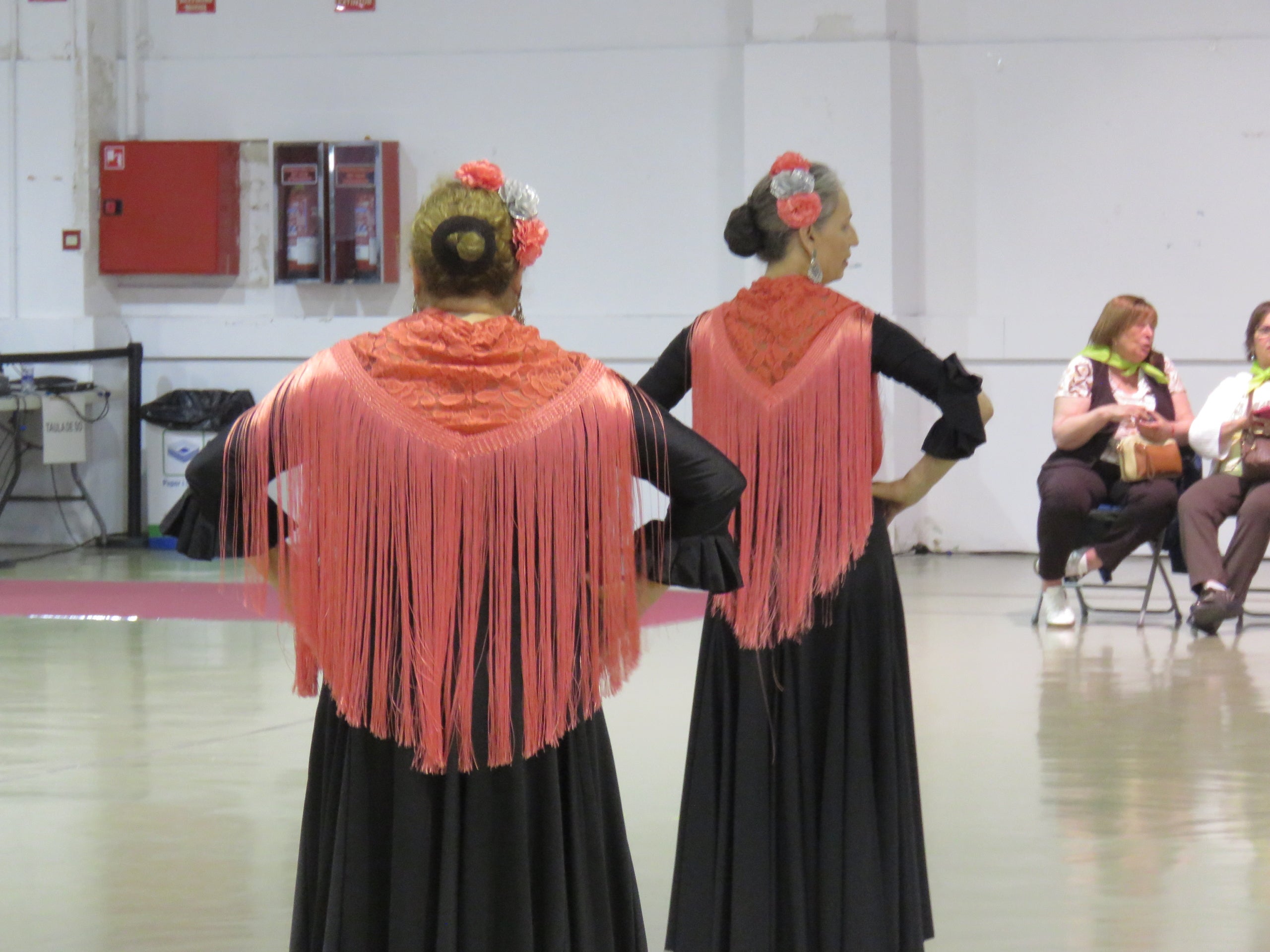 Aquest cap de setmana, 25 i 26 d'abril, el Recinte Firal de Terrassa acull la Fira Som Gran, una jornada organitzada per la Federació d'Associacions i Centres de Gent Gran de Terrassa i que vol esdevenir un espai de trobada, convivència i reconeixement per a les persones grans de la ciutat. Durant aquests dos dies, es pot gaudir d'una gran programació d'activitats; entre exposicions, balls, jocs de taula, gastronomia i exhibicions | Oriol Manrique