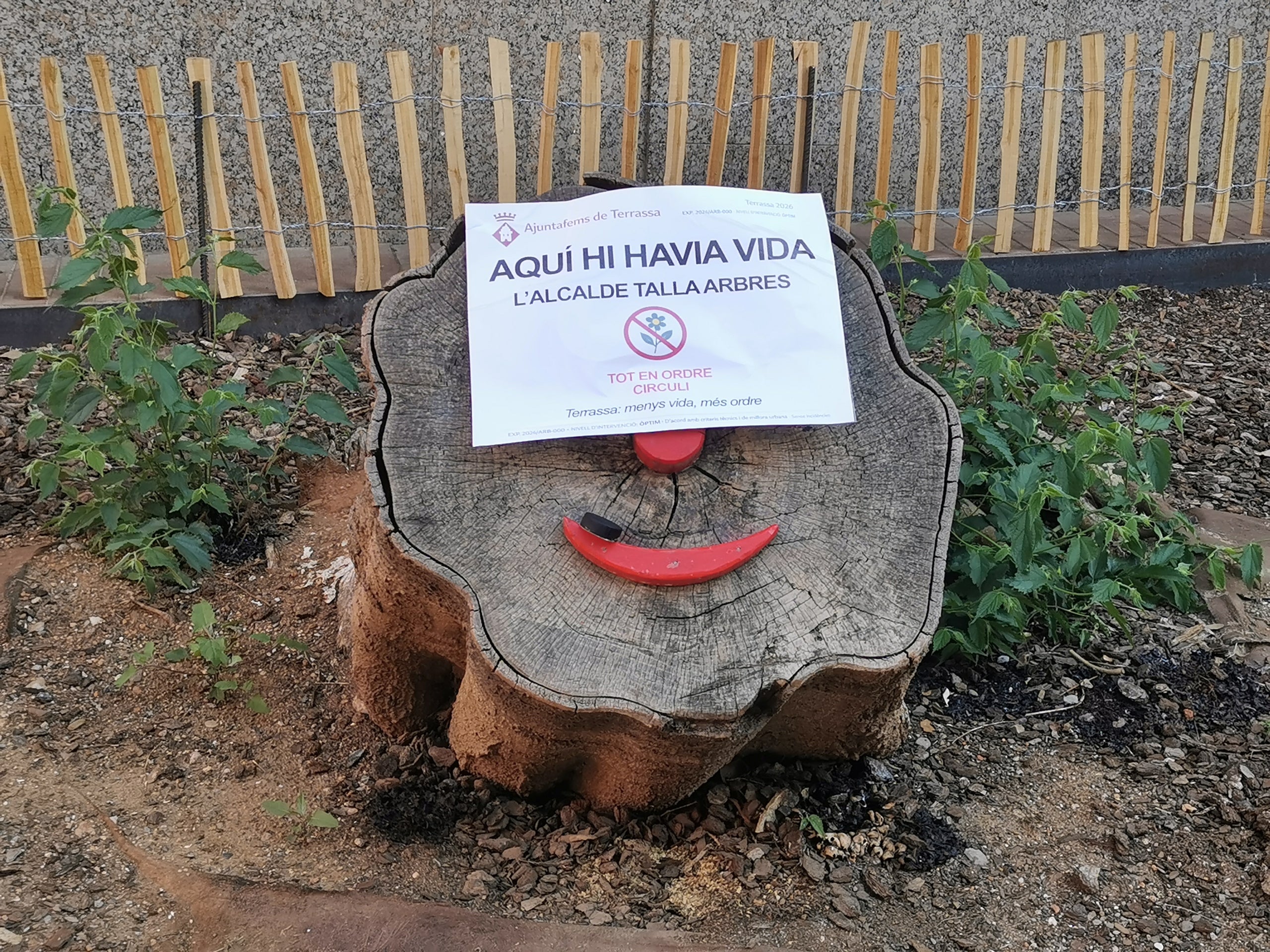 'Aquí hi havia vida', en una soca d'arbre tallat | Eskamot Xemeneia