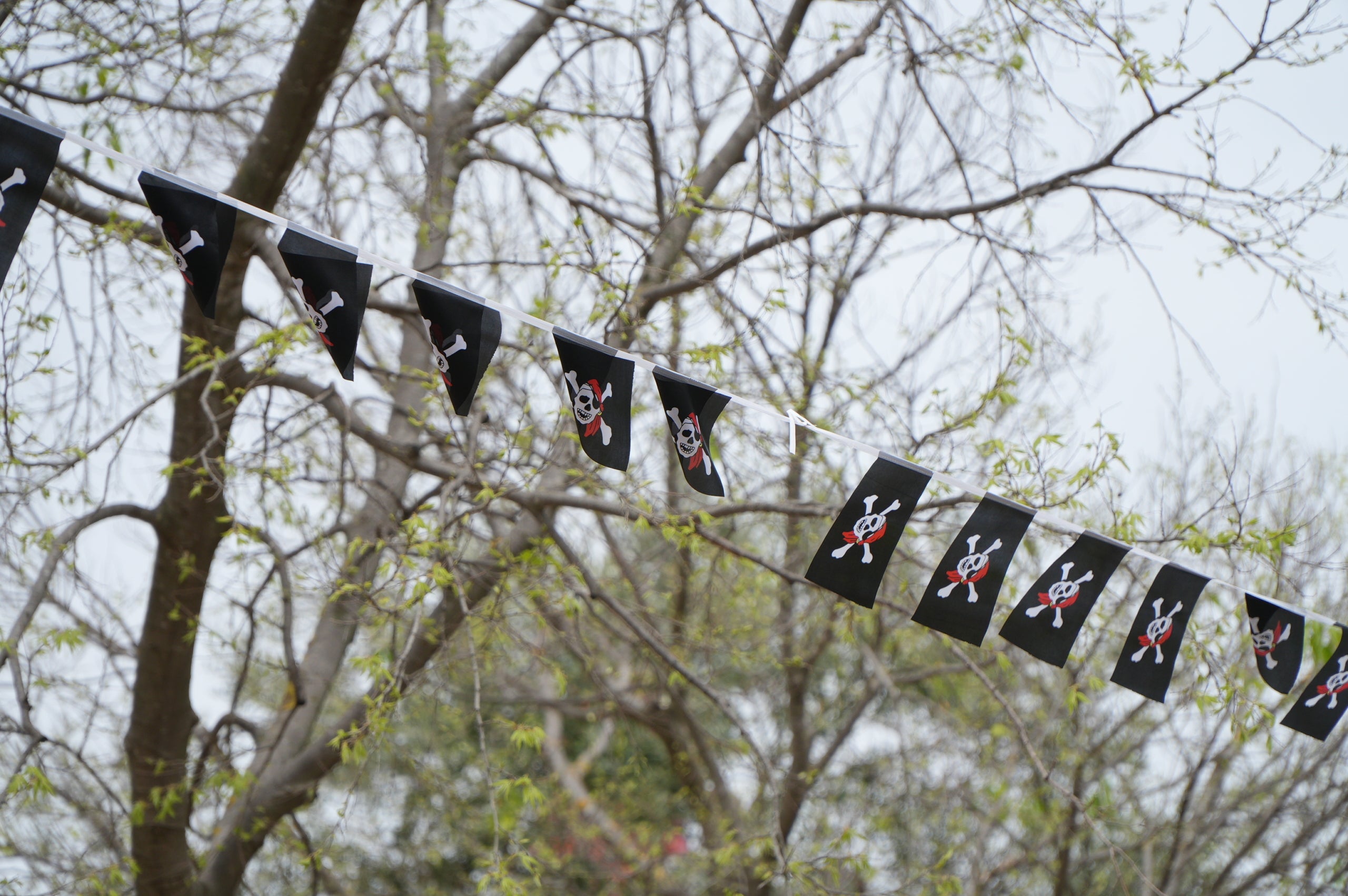 La II Fira Pirata del Roc Blanc ha omplert de vida la plaça del barri des de divendres i fins diumenge amb una programació completa d'activitats, amb propostes culturals, esportives i familiars per a tots els públics. I, sobretot, on els comerços n’han estat els protagonistes. 