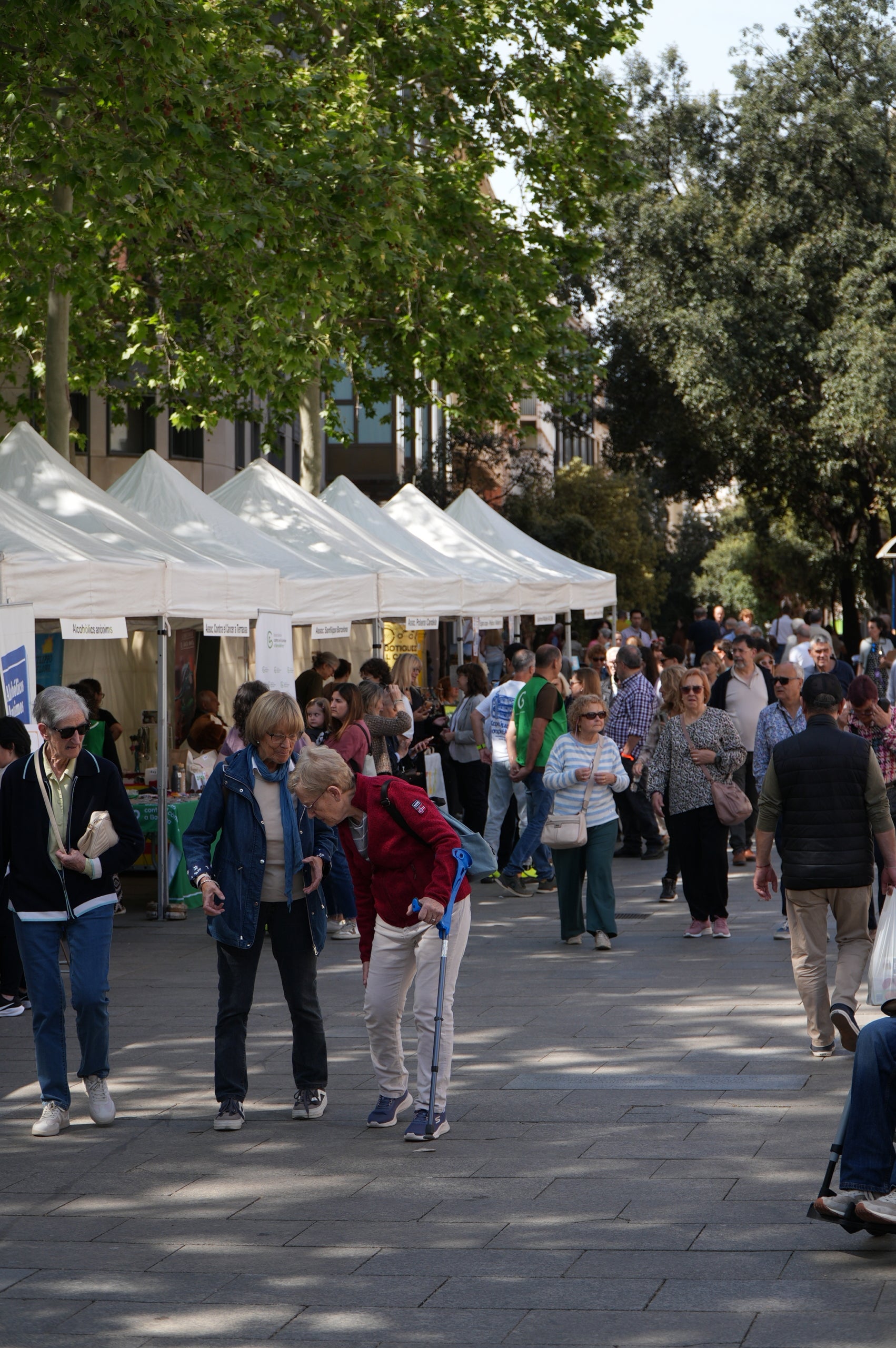 Després de la cita de tardor el novembre passat, la Fira d'Entitats de la Salut de Terrassa va celebrar aquest dissabte primaveral la seva desena edició amb una vintena d'associacions de malalties minoritàries, oncològiques, neurològiques o salut mental. Els seus visitants van poder informar-se en els diferents estands, alhora que s'organitzaven activitats, tallers i actuacions musicals des de l'escenari de la plaça durant tota la jornada | Jan Romero