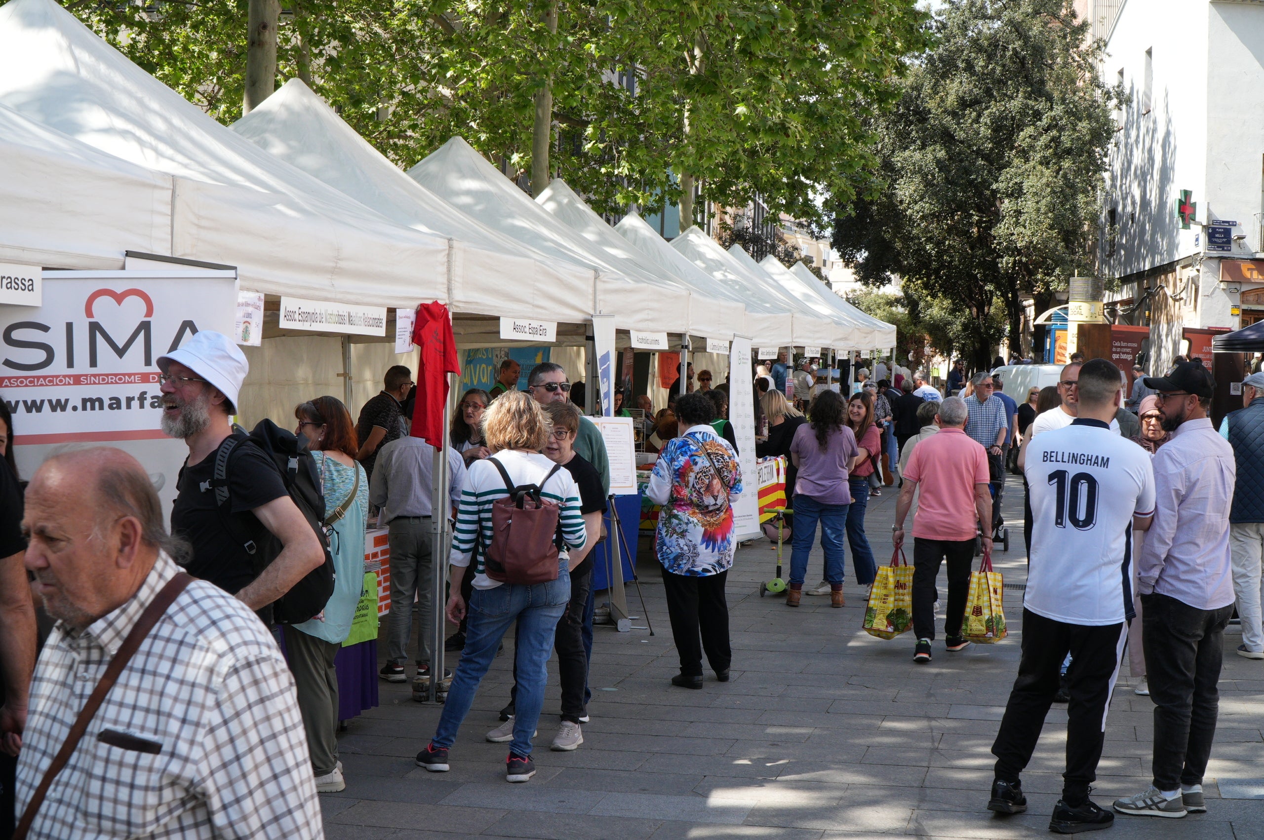 Després de la cita de tardor el novembre passat, la Fira d'Entitats de la Salut de Terrassa va celebrar aquest dissabte primaveral la seva desena edició amb una vintena d'associacions de malalties minoritàries, oncològiques, neurològiques o salut mental. Els seus visitants van poder informar-se en els diferents estands, alhora que s'organitzaven activitats, tallers i actuacions musicals des de l'escenari de la plaça durant tota la jornada | Jan Romero