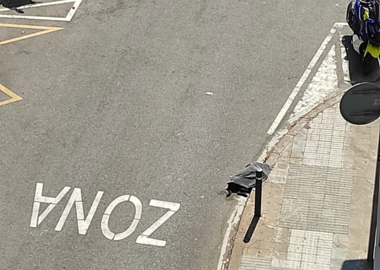 Un gos ha mort aquest dilluns després de precipitar-se d'un pis a Terrassa | Cedida