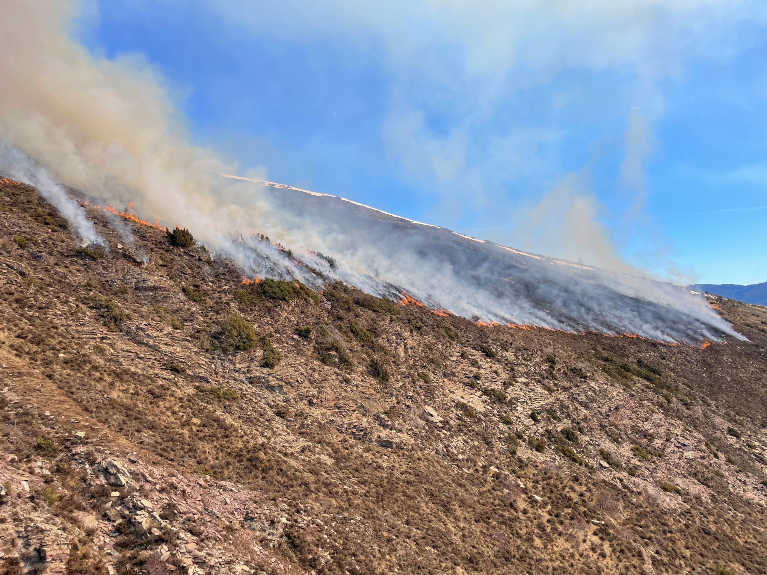 Les cremes prescrites milloren les pastures i redueixen el risc d’incendi | Generalitat de Catalunya