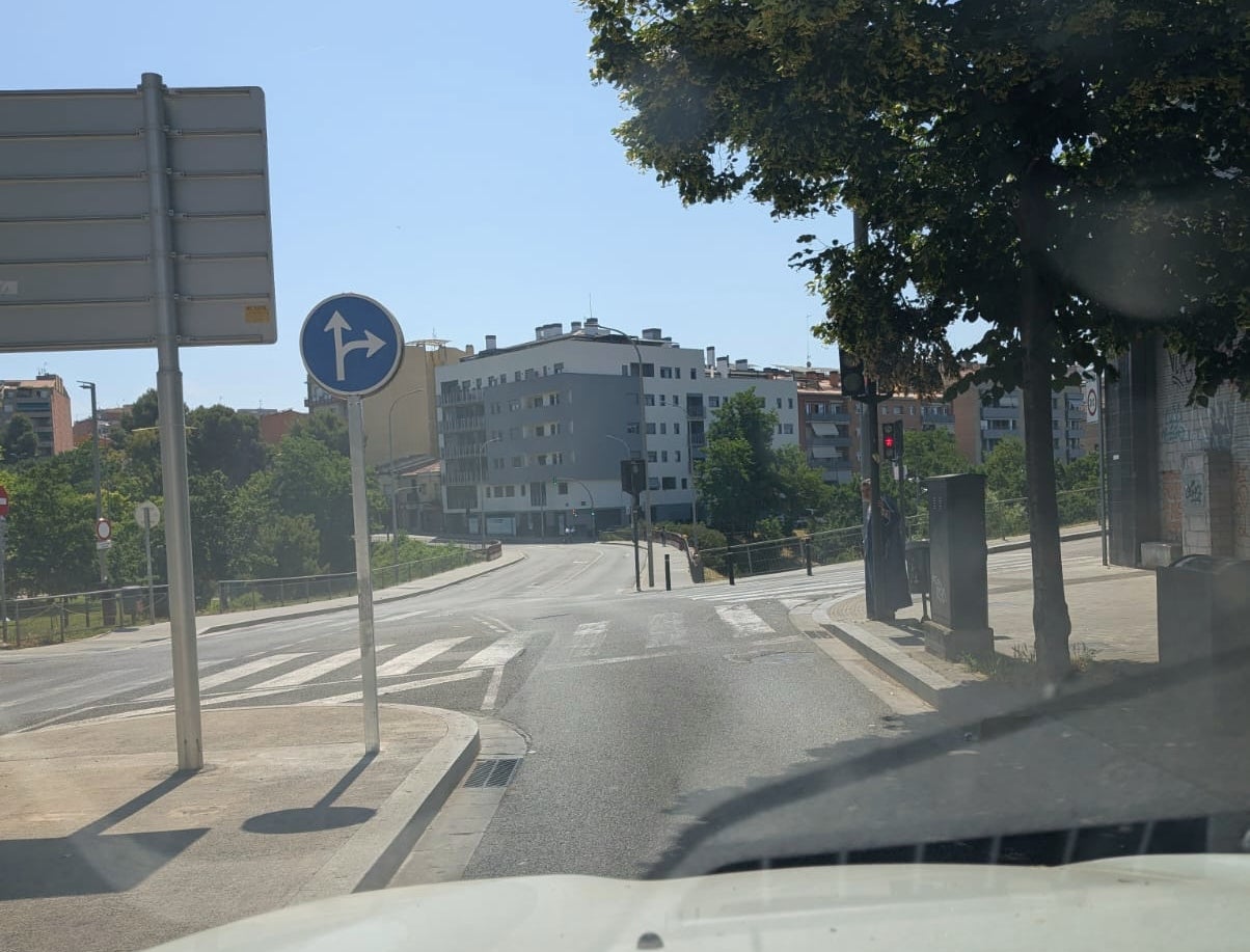 El semàfor de la carretera Montcada tapat per un arbre | Joan Carles Codina
