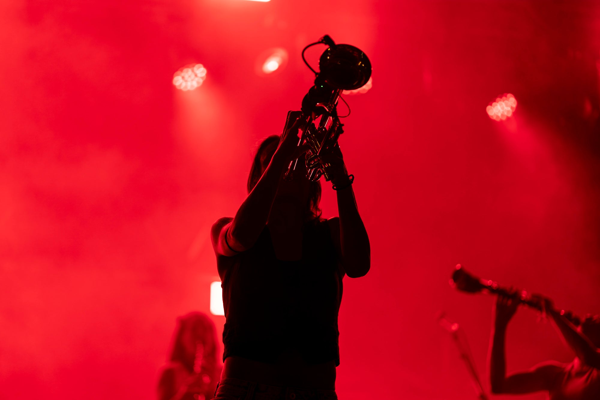 La Balkan Paradise Orchestra van ser unes de les encarregades d'obrir el programa de concerts de la Festa Major de Terrassa, fent ballar a tota la Plaça Vella. Aquesta actuació de la banda barcelonina va formar part de la gira Game Sessions Tour que estan realitzant aquest 2026 | Mireia Comas