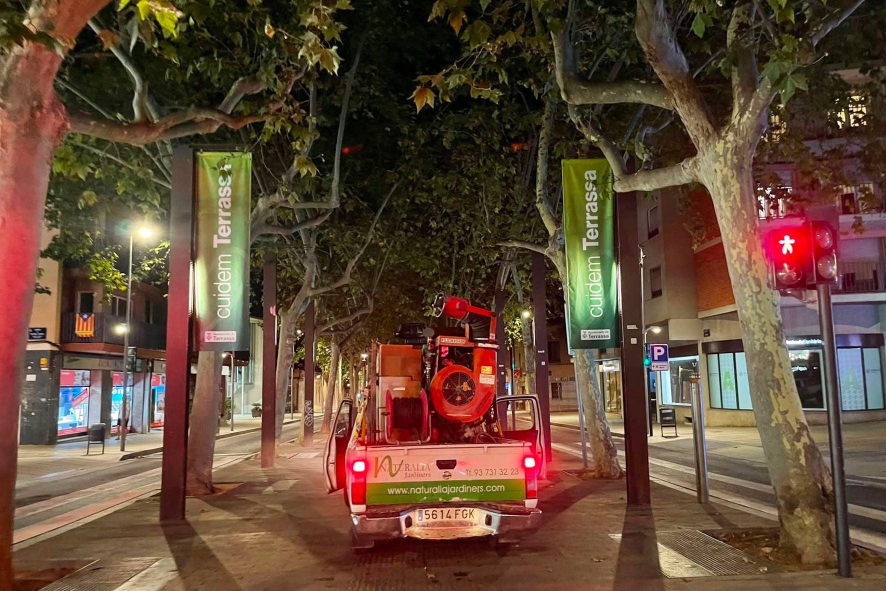 Imatge de l'actuació fitosanitària duta a terme aquesta matinada als plataners de la Rambla d'Ègara | Ajuntament de Terrassa
