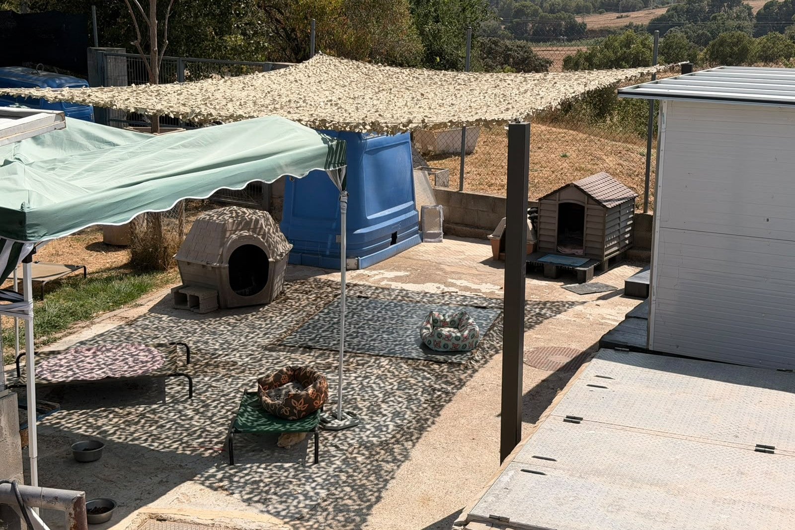 Visita de representants de l'Ajuntament de Terrassa per observar les millores realitzades recentment al Centre d'Adopcions d'Animals Domèstics de Terrassa (CAAD) | Ajuntament de Terrassa
