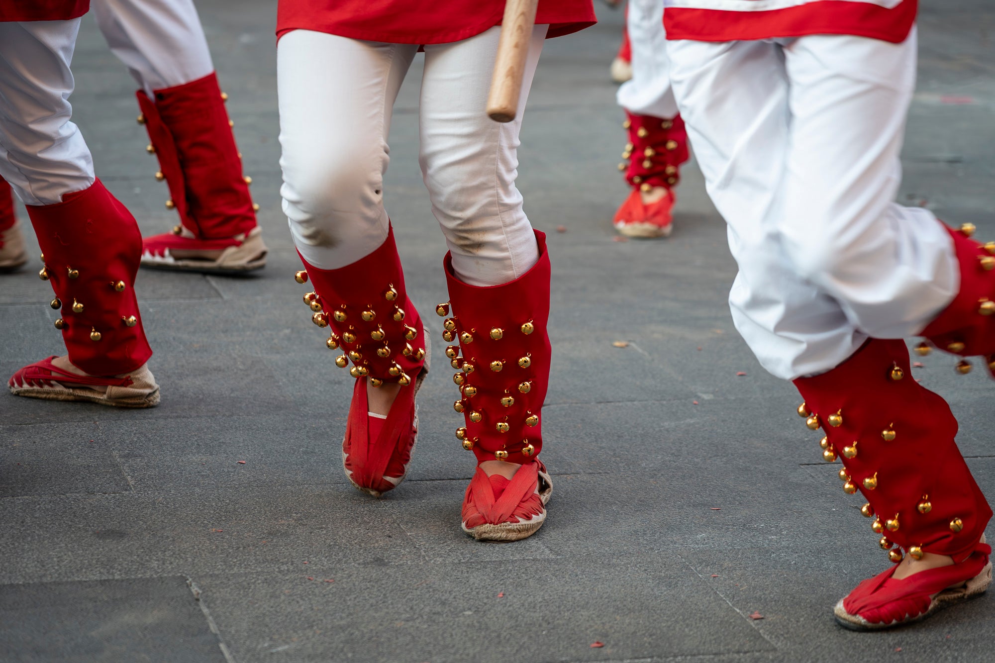 La Festa Major de Terrassa 2026 ja és aquí. Ahir, divendres dia 3 de juliol, a les 20 hores van repicar les campanes de tota la ciutat i va entrar al Raval de Montserrat el Drac de Terrassa, donant el tret de sortida de la Festa Major d'enguany. Tot seguit, es va procedir a la lectura del pregó de Festa Major a càrrec de Montse Alcaraz, presidenta de la Colla del Bitxo del Torrent Mitger. Després de la lectura del pregó, l'alcalde va fer l'obertura oficial de la Festa i algunes de les colles protocol·làries de la ciutat van fer una mostra de danses tradicionals i emblemàtiques. Posteriorment, es va donar a conèixer el Capgròs de l'Any, que enguany ha recaigut en Mercè Gómez, una de les fundadores del Casal de la Dona de Terrassa | Mireia Comas