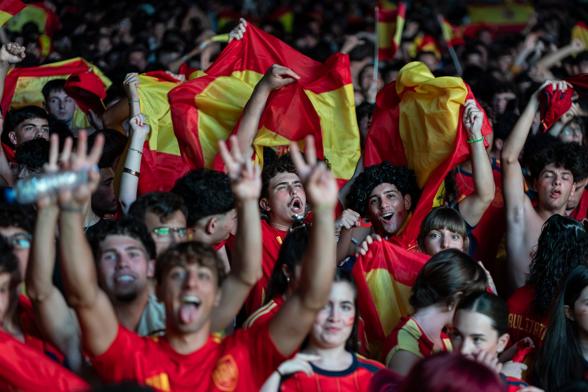 L'Espai Vela del parc de Vallparadís de Terrassa es va omplir aquest diumenge a la nit amb 8.500 aficionats per seguir en pantalla gran i animació des de l'escenari la final del Mundial de futbol a Nova York entre les seleccions d'Espanya i l'Argentina. L'emoció es va mantenir fins a la segona part de la pròrroga quan el jugador del Barça Ferran Torres va marca l'1-0 definitiu, que va donar la corona planetària a un combinat amb els terrassencs Dani Olmo i Marc Pubill. Entre els assistents també hi havia aficionats del conjunt de Messi. A causa de la calor i aquestes emocions, es van haver d'efectuar algunes evacuacions de seguidors | Mireia Comas