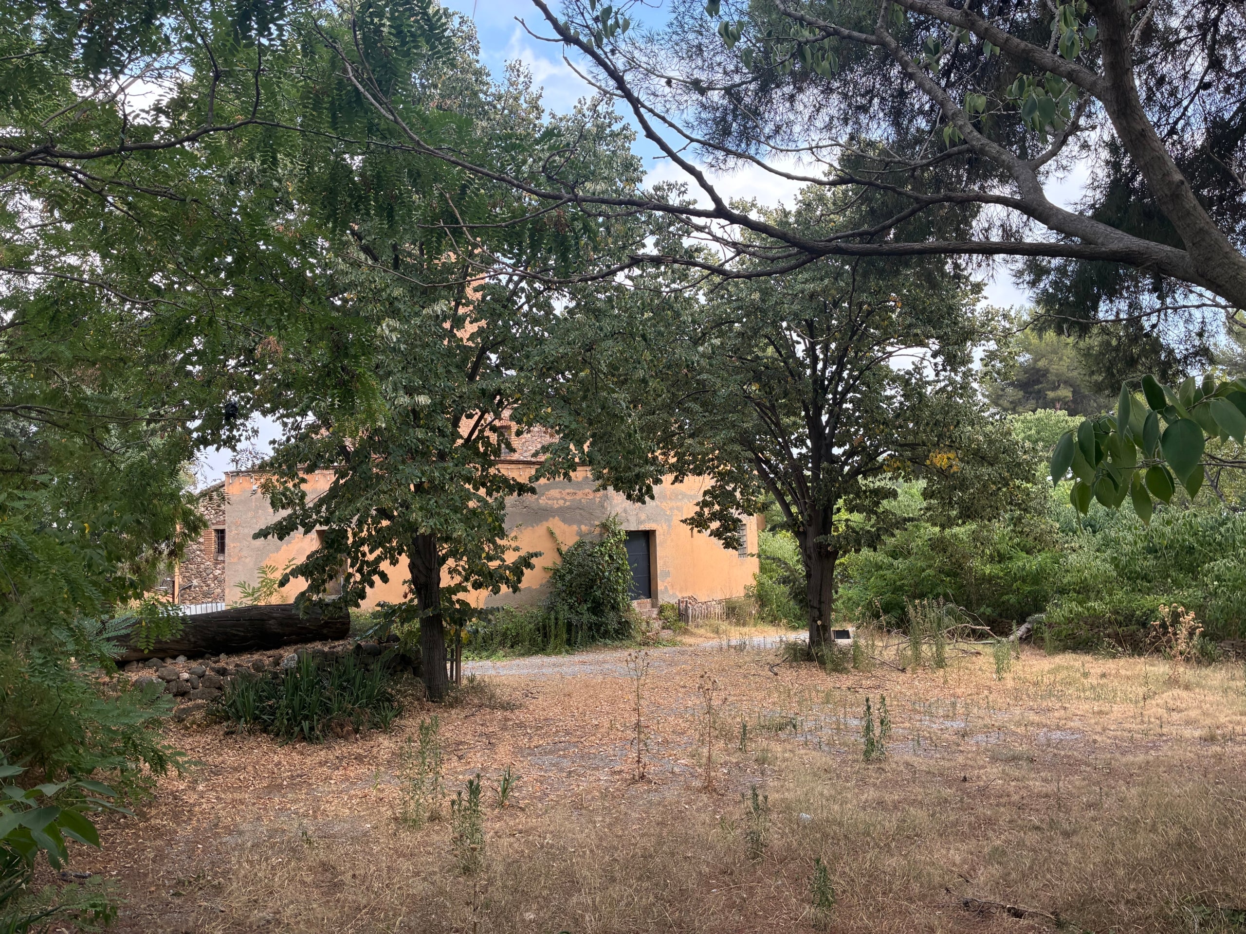 Aspecte actual de la Masia de Can Palet i el seu entorn arbrat des de l'exterior de l'avinguda de les Glòries Catalanes | Vicenç Batalla