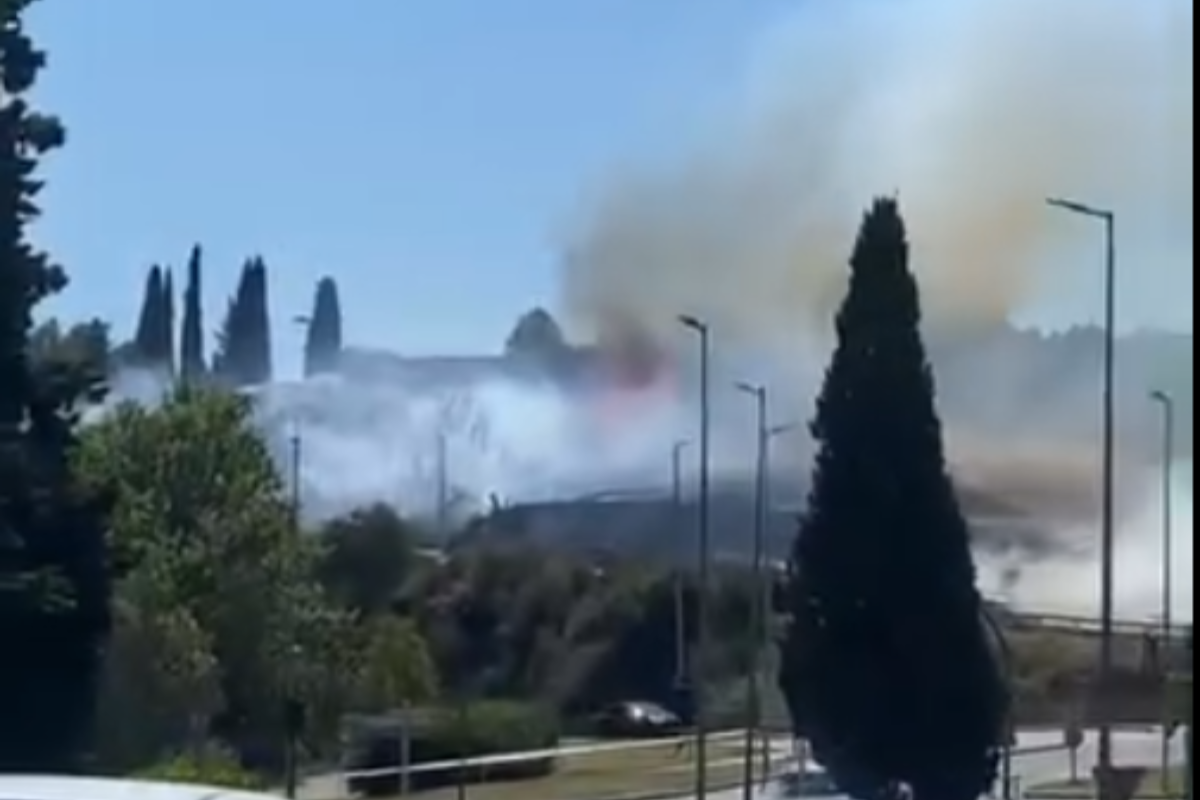 Incendi forestal a la Ronda Ponent de Terrassa | Jordi Perez