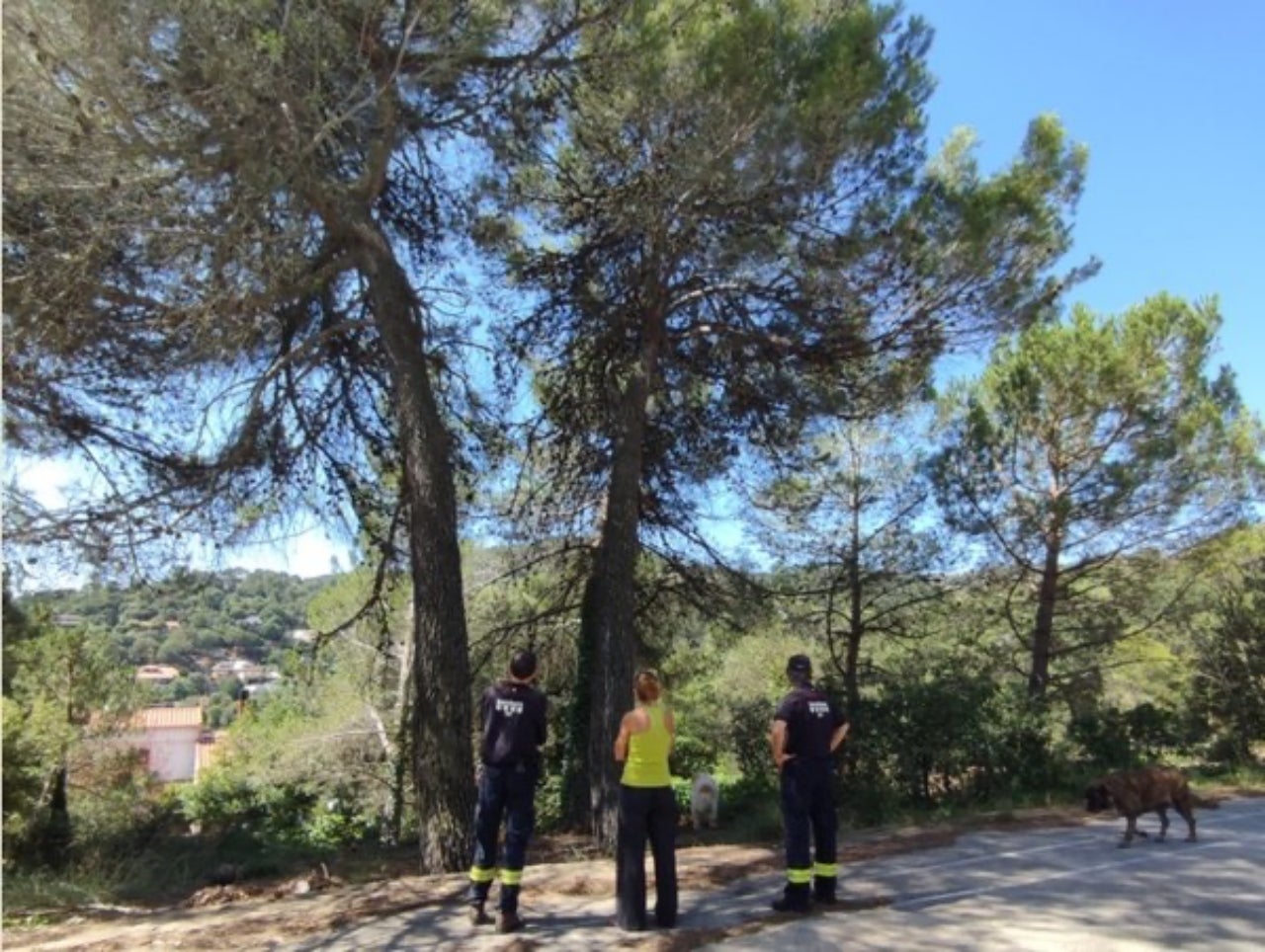Visita de l’ADF Matadepera i el cos de Bombers Voluntaris de Matadepera en prevenció d'incendis forestals | Matadepera.cat