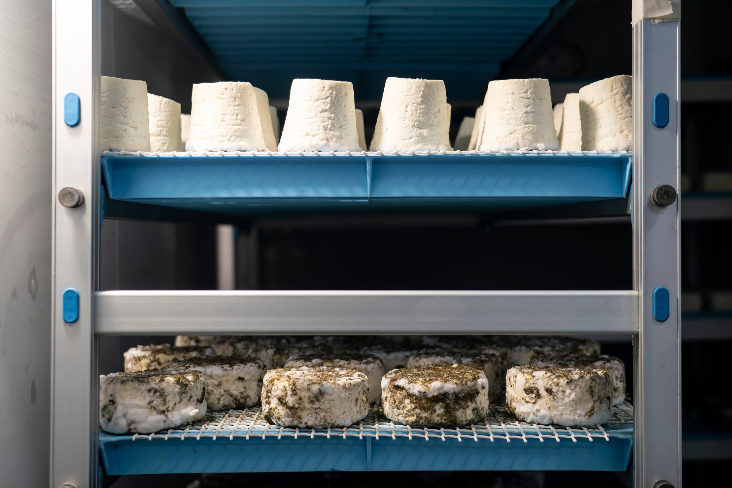 En Jordi Lorente va començar a fer formatges apostant per un projecte arrelat al territori. Deu anys després, els seus productes, fets artesanalment en una granja de Vacarisses, han obtingut diversos premis en els prestigiosos World Cheese Awards. Però el secret no es troba més lluny que anant als ramats de cabres d'Ullastrell o Matadepera. 