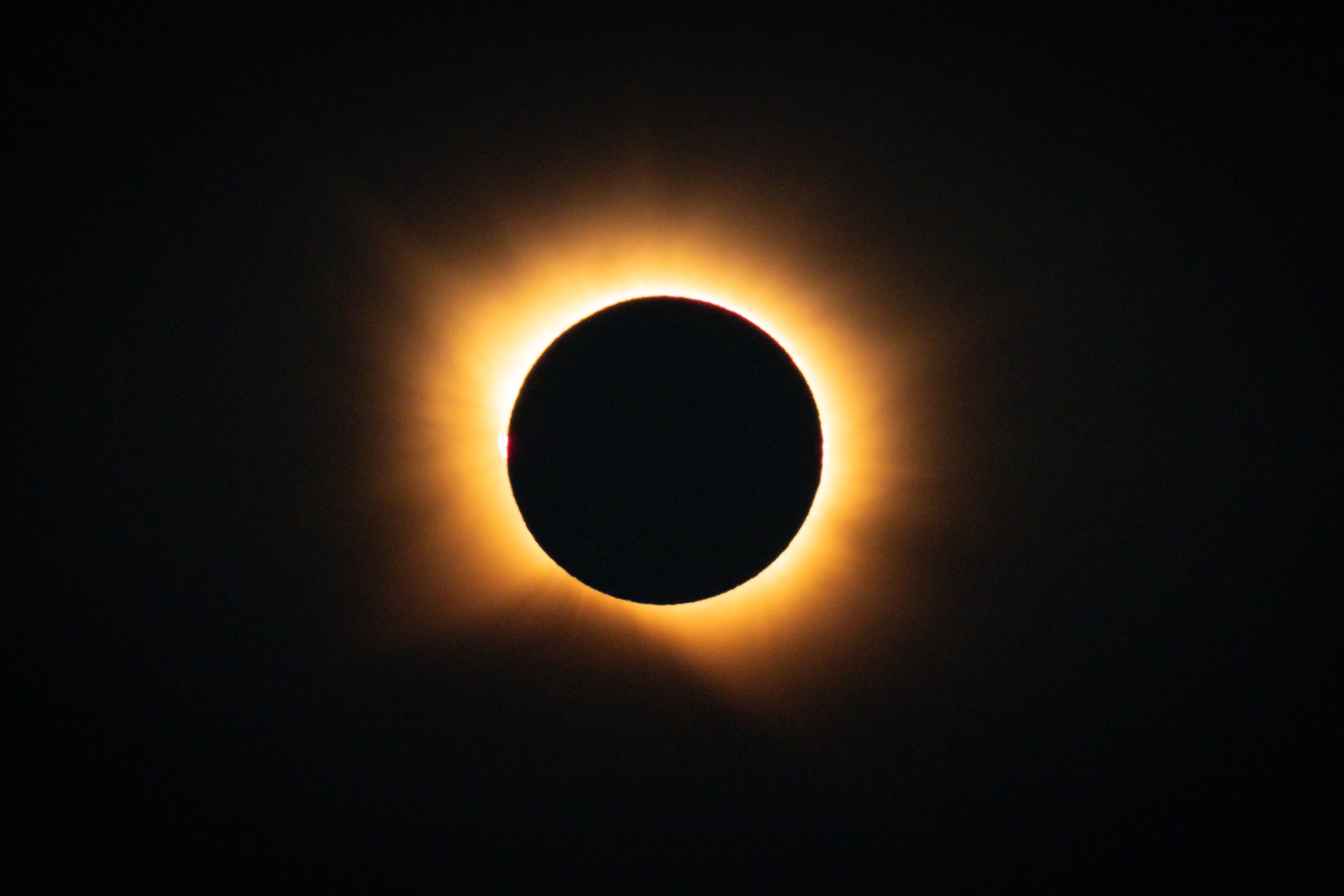 La corona solar en l'eclipsi total de Catalunya des de la Granadella | Jordi Borràs - ACN
