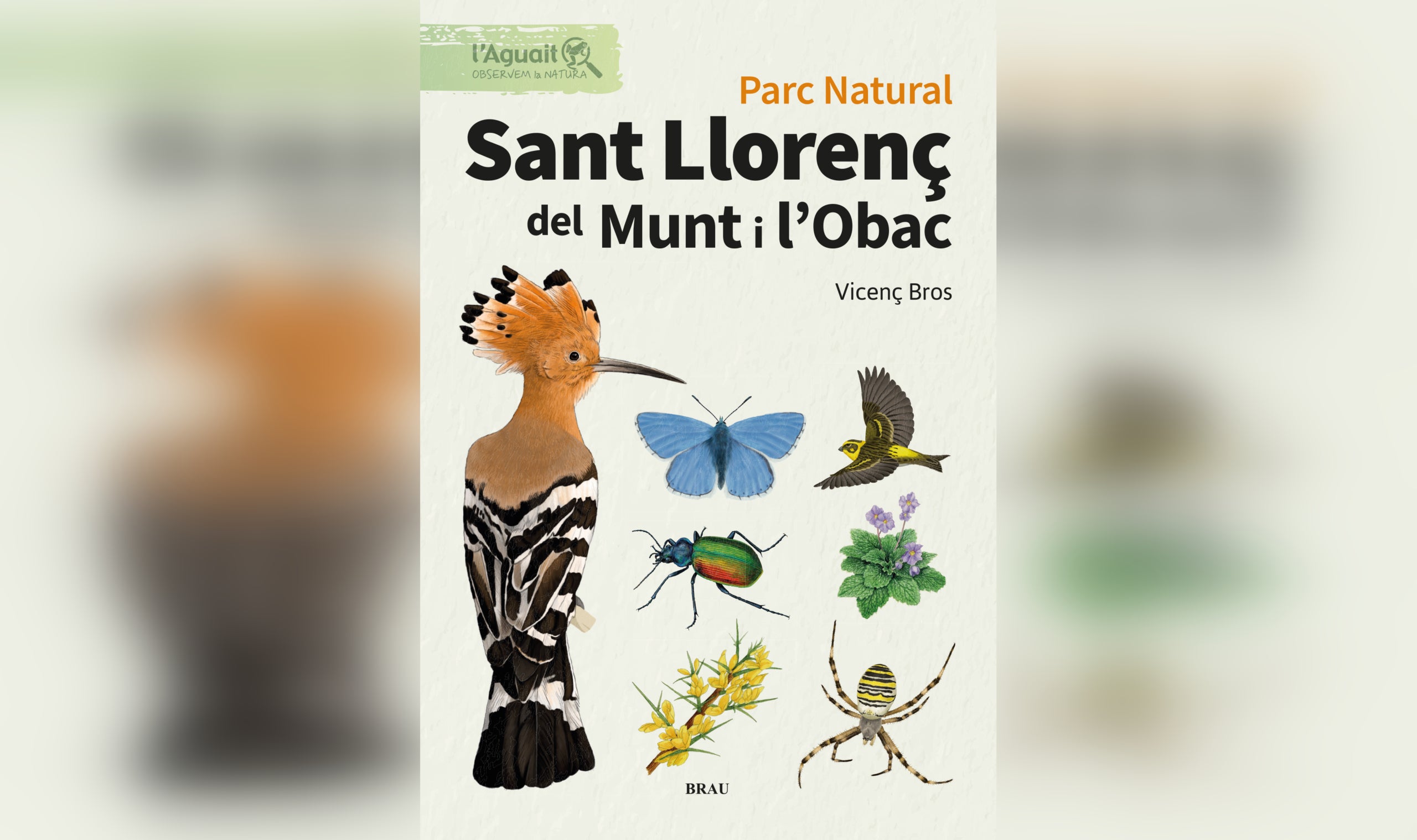 Portada de la guia de camp sobre el Parc Natural de Sant Llorenç | Brau Edicions