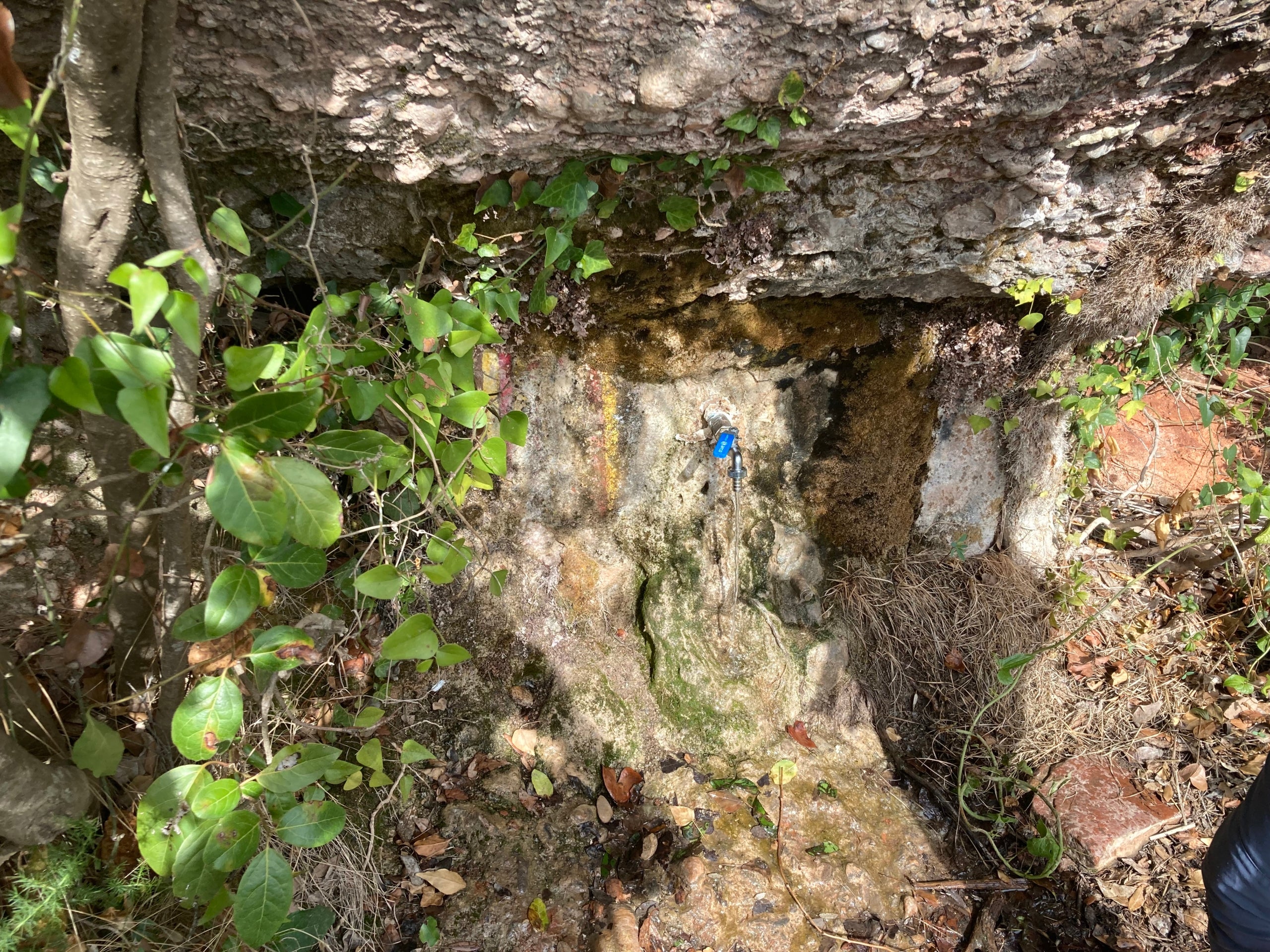 La Font Soleia al parc natural de Sant Llorenç del Munt | Wikipedia