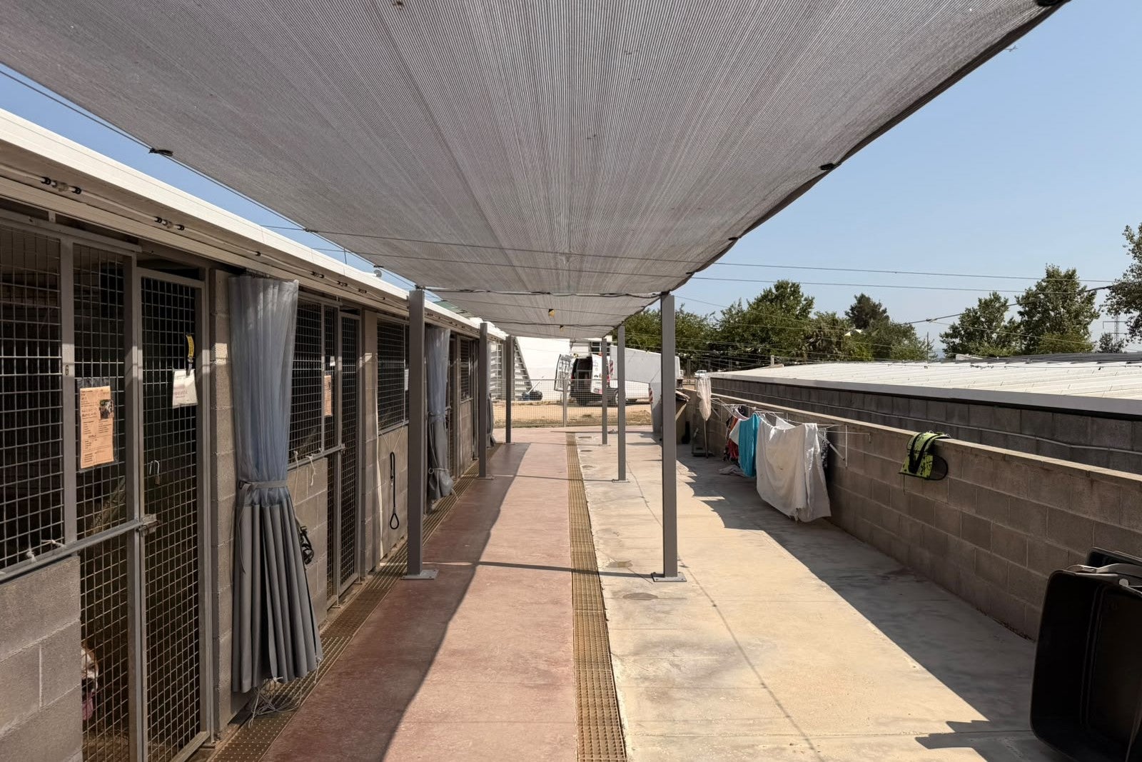 Les instal·lacions del Centre d'Atenció d'Animals Domèstics (CAAD) de Terrassa, amb els boxs dels gossos | Aj. Terrassa