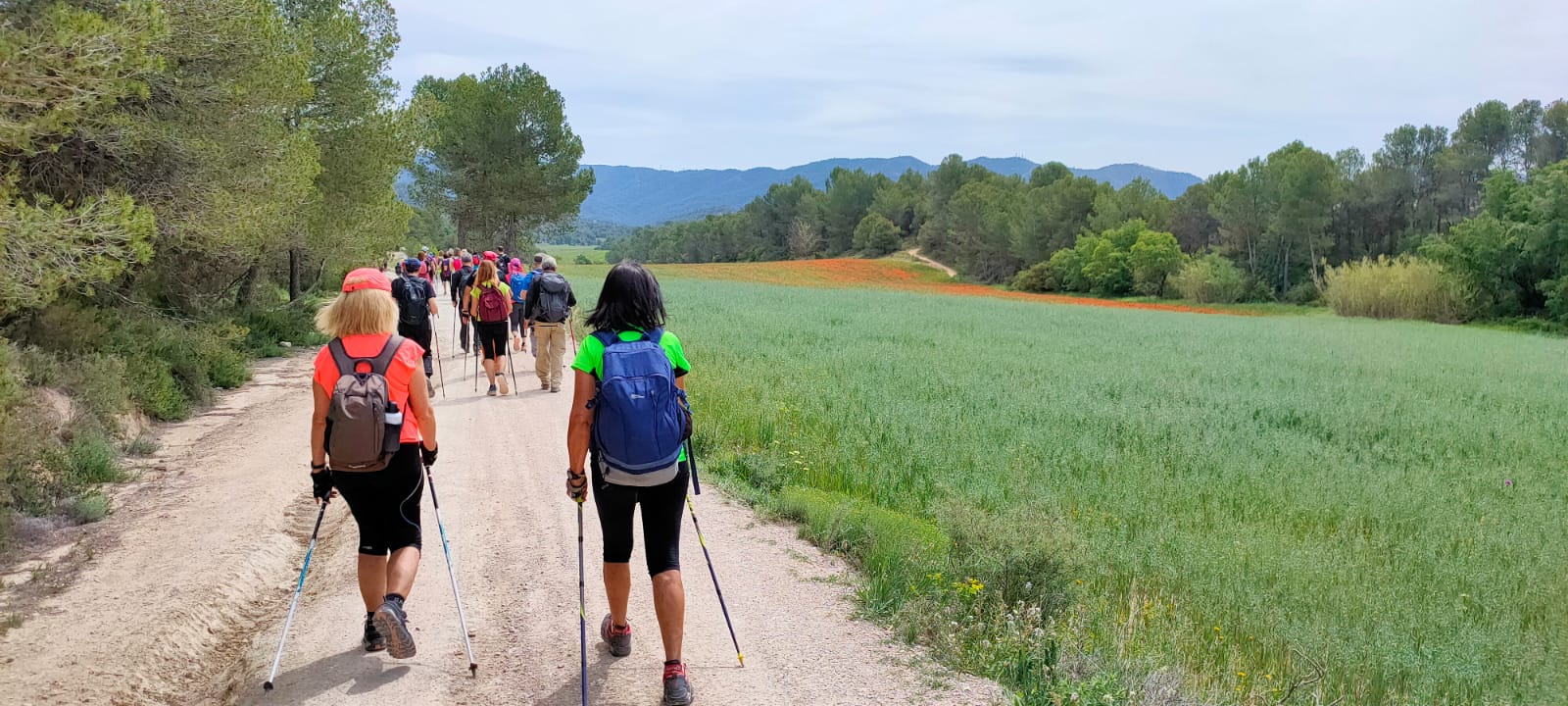 Participants en una de les sortides de marxa nòrdica del Centre Excursionista de Terrassa | CET