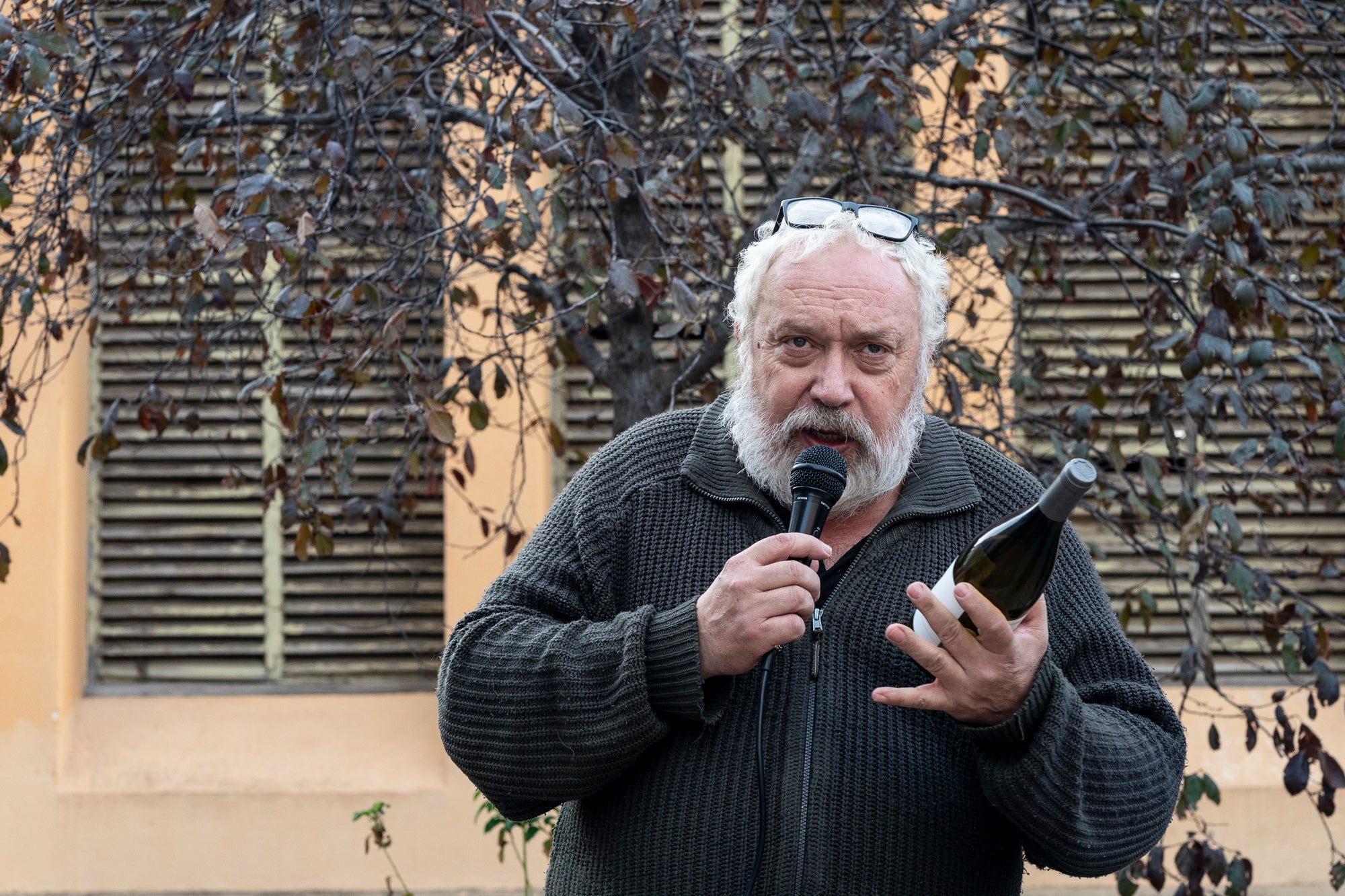 En la seva primera edició, la Fira de Lletres i Vi organitzada per l'associació Teixint Històries ha omplert aquest dissabte el raval de Montserrat de Terrassa amb un munt d'autors autopublicats, a més d'altres sota l'aixopluc editorial. El recorregut sommelier es feia per gèneres: infantil i juvenil, romàntica, fantasia, històrica, no-ficció, misteri, poesia i contemporània. Als quals el Gremi d'Hostaleria de Terrassa i Comarca proposava un vi adaptat i que ajudava a maridar amb la literatura pertinent en plena tardor | Mireia Comas