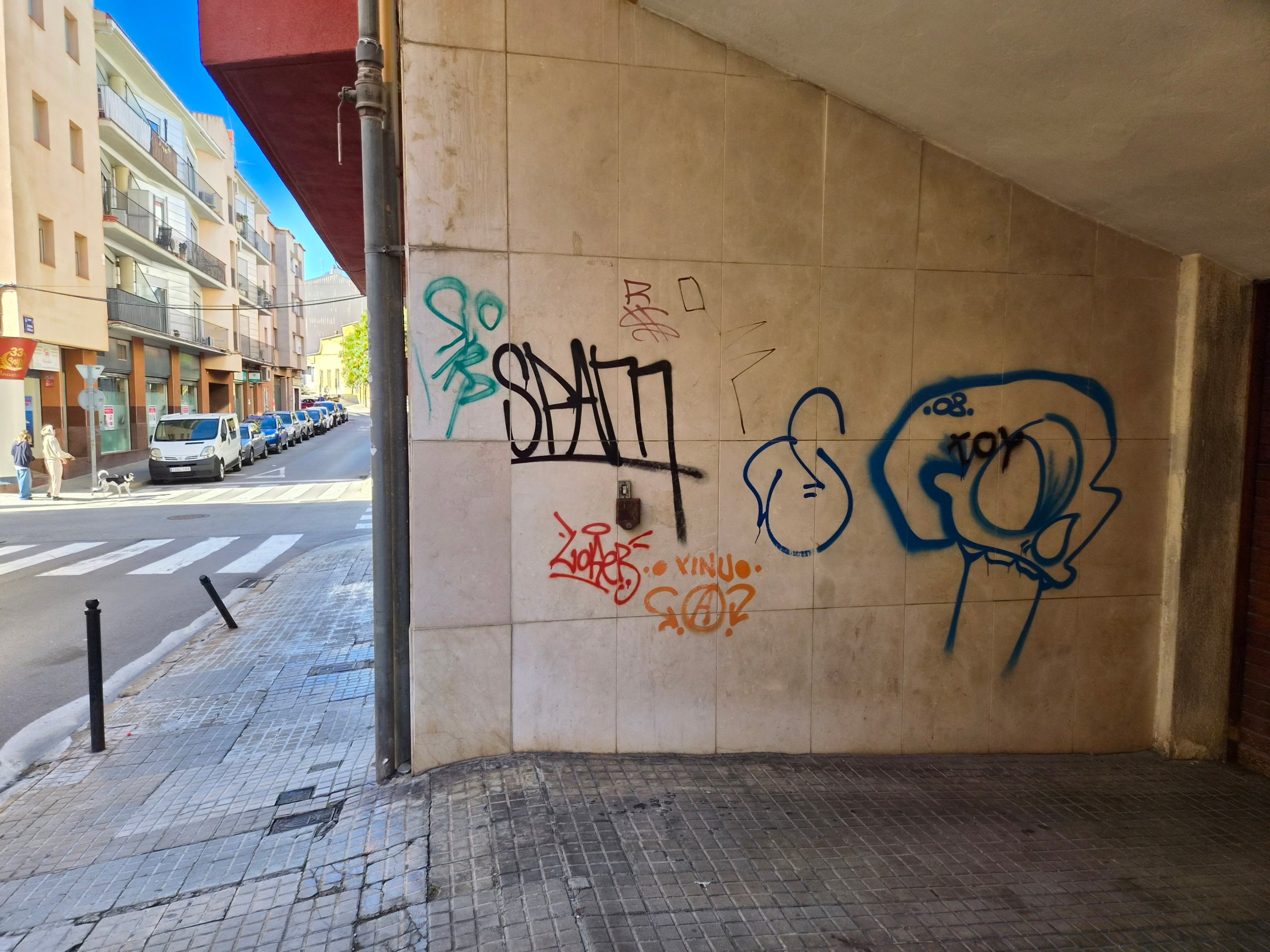 Grafits en façanes de propietat privada a Terrassa | Lluïsa Tarrida