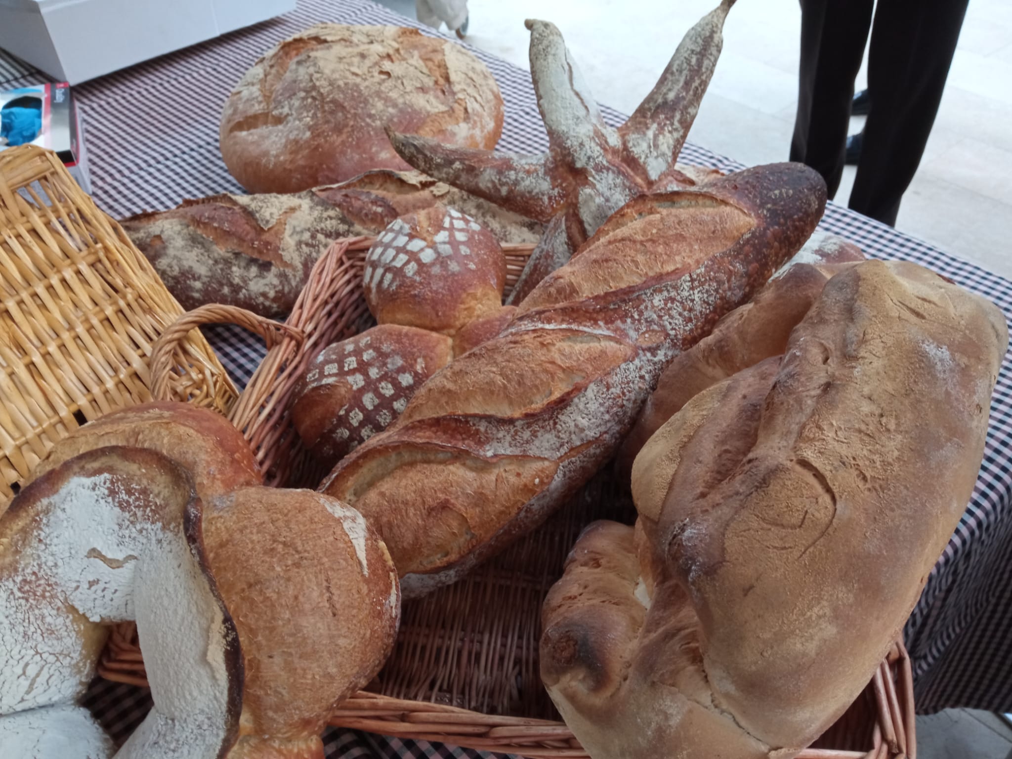 La plaça de la Torre del Palau va ser l'escenari de La V Gran Festa del Pa de Terrassa aquest dissabte a la tarda, amb un especial protagonisme aquesta vegada per als infants. Organitzada pel Col·lectiu de Flequers i Pastissers de Terrassa i Comarca i sota el lema ‘Fem pa amb els cinc sentits’ (la vista, el tacte, l’olfacte, l’oïda i el gust), entre altres activitats hi havia un taller adreçat als més menuts per conèixer l’origen i el procés d’elaboració d’aquest aliment bàsic. I, com a premi, un berenar de pa amb xocolata | Ramon Navarro