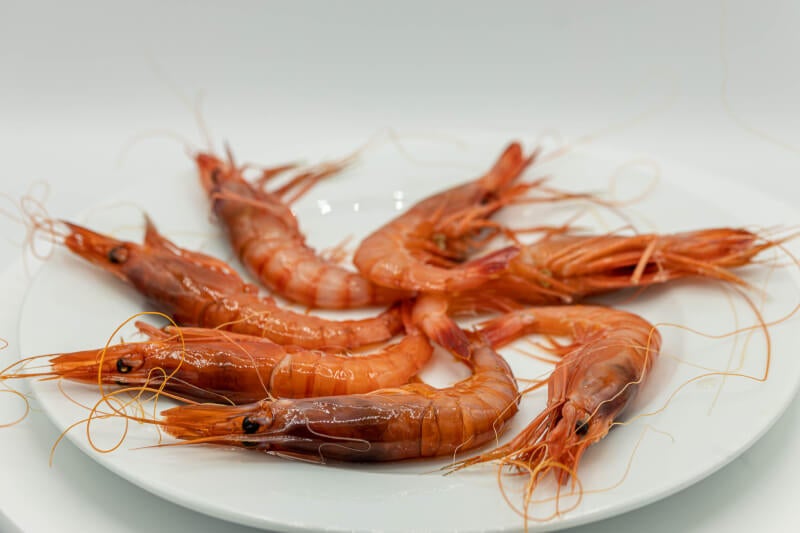 gamba de palamos