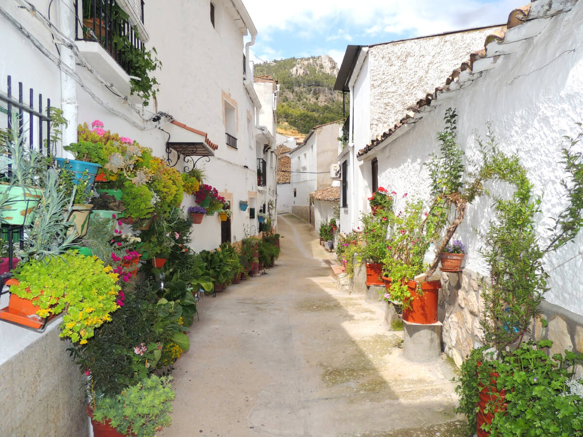 orcera
