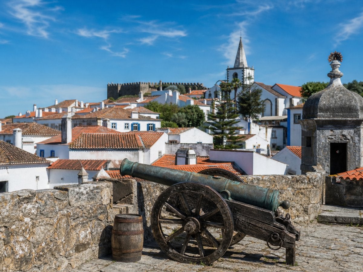 Imatge generada amb IA