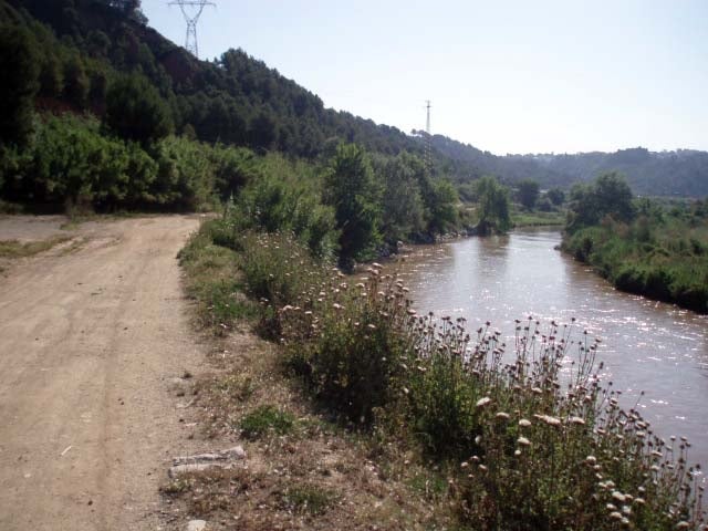 El riu Llobregat en el seu pas per Castellbisbal / Diputació de Barcelona