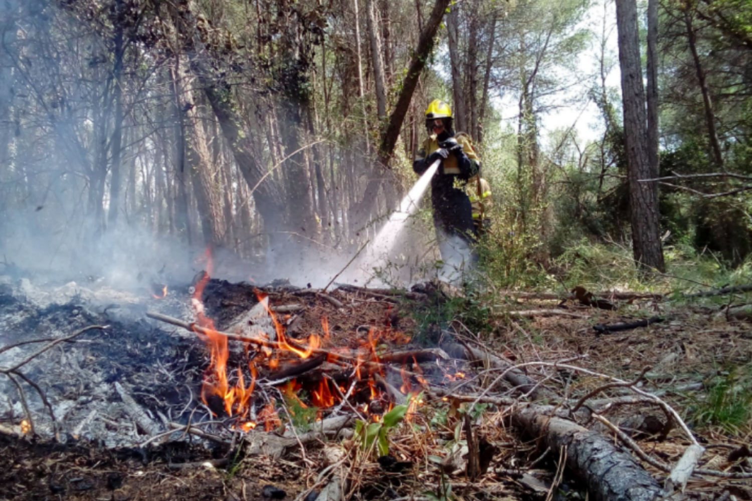 Incendi forestal