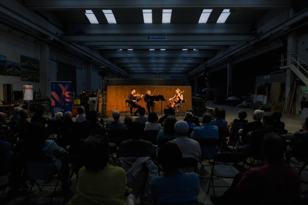 Espectacle durant la programació del NYS Polígon Arts 2024 | Irene Monteagudo. Via Ajuntament de Castellbisbal