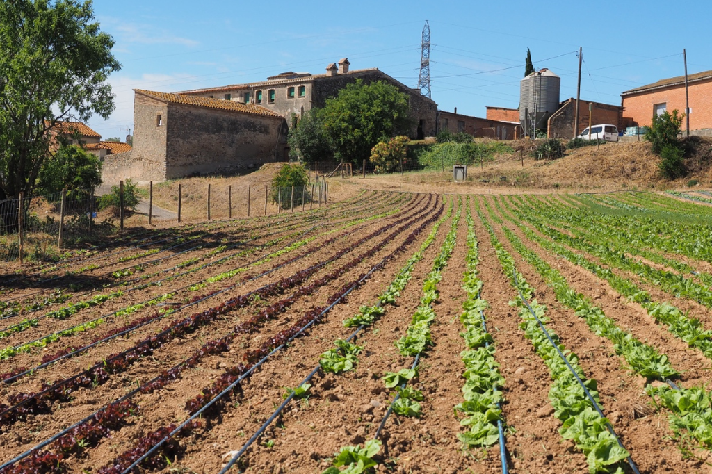 'Benvinguts a Pagès' arriba aquest cap de setmana a Castellbisbal | Ajuntament de Castellbisbal
