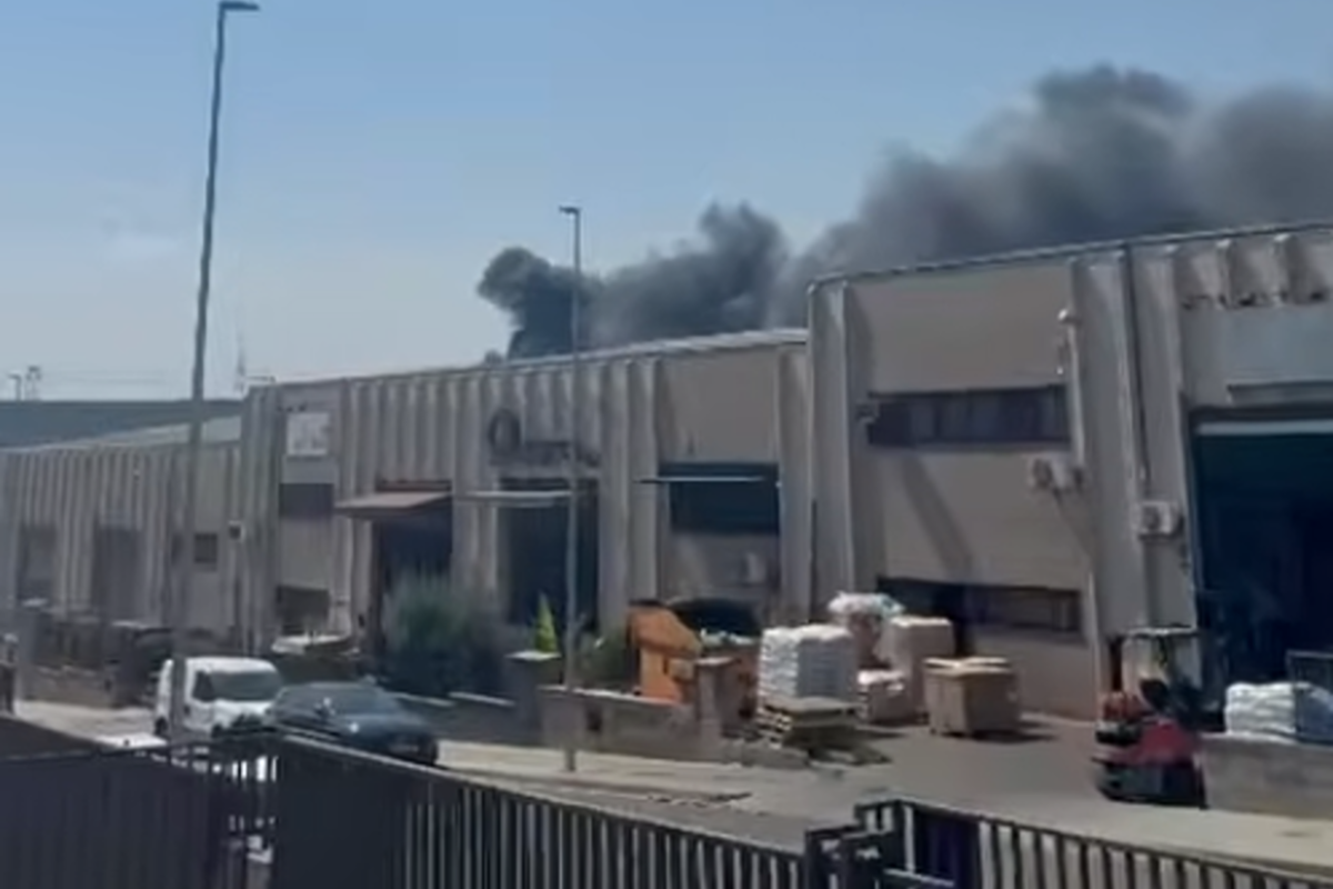 Els Bombers extingeixen un nou incendi de vegetació a Castellbisbal | Cedida